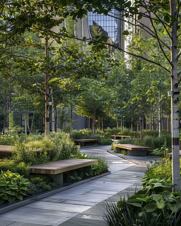 A landscaped woodland walk lined with timber benches