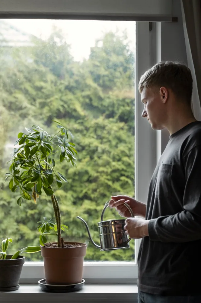 A resident watering a potted plant by a window