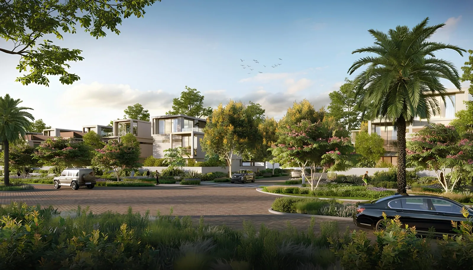 Landscaped streets and homes at a Wonderise community
